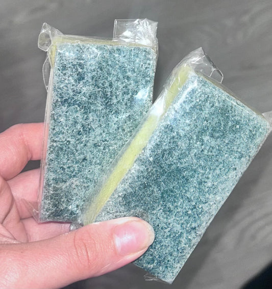 Home Freshen-Up Sponge